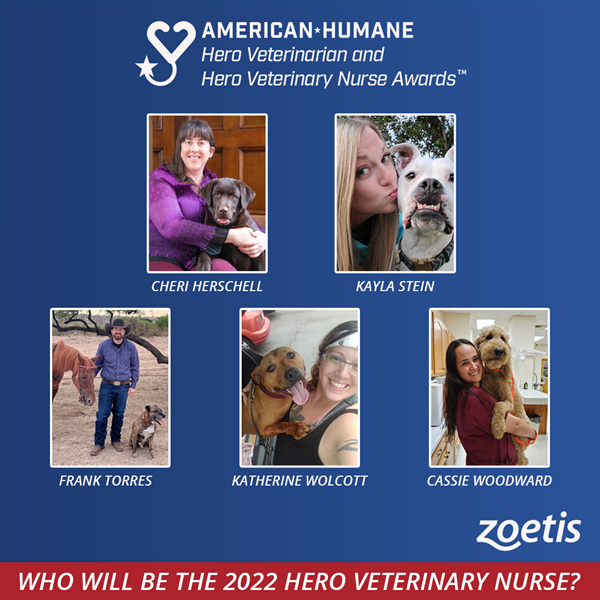 Vote for the 2022 American Hero Veterinary Nurse!