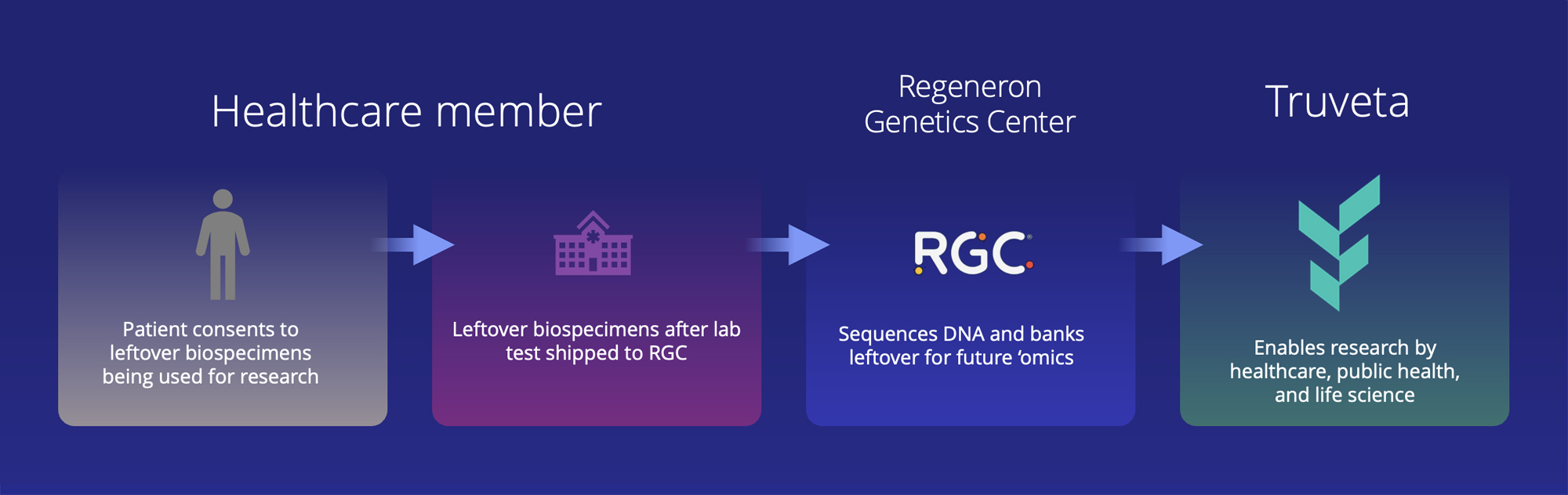 In the Truveta Genome Project, Truveta health systems members work with their patients to collect biospecimens for clinical lab tests. With their consent to participate in the project, the leftover biospecimens from those lab tests and associated de-identified clinical data is shared with the Regeneron Genetics Center (RGC). RGC performs the genetic sequencing and shares the data with Truveta. Truveta then makes the de-identified data available for research for academic, public health, and life science researchers.