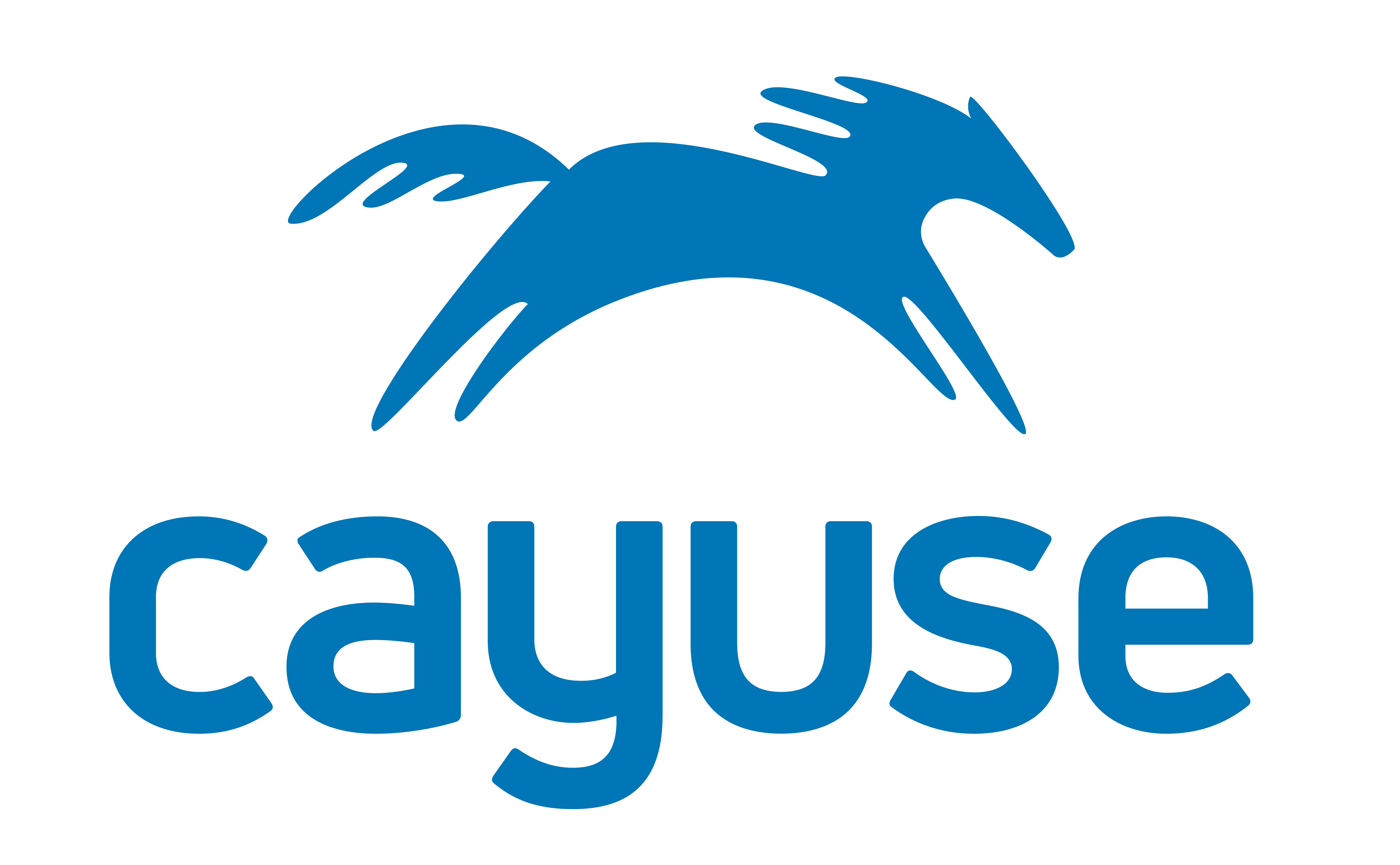 Cayuse Celebrates An