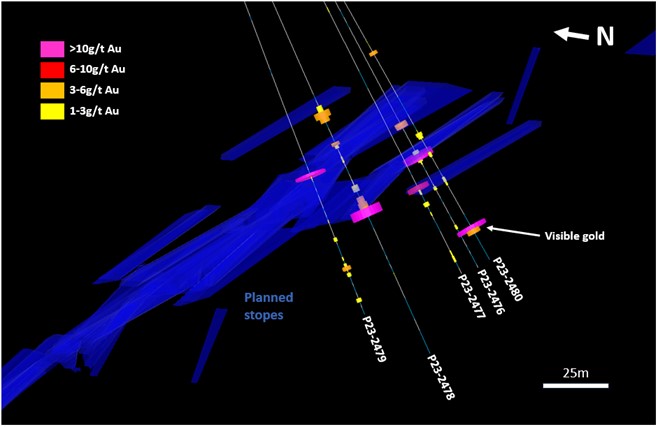 East looking 3D-cross section showing the drill holes reported in this release, drilled from pad 23PREW2.