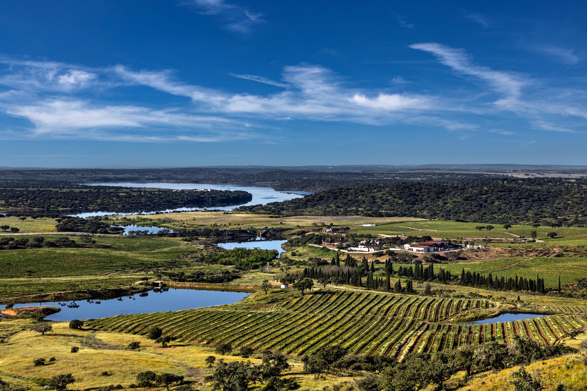 5 Reasons to Fall in Love with the Wines of Alentejo This Holiday Season