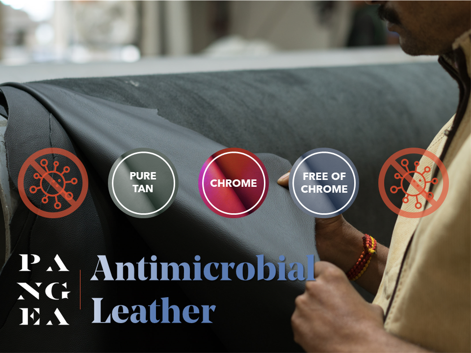 Antimicrobial Leather