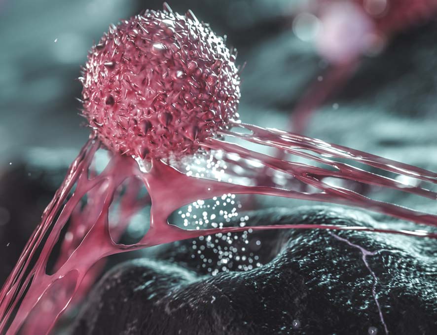 Featured Image for CytoImmune Therapeutics