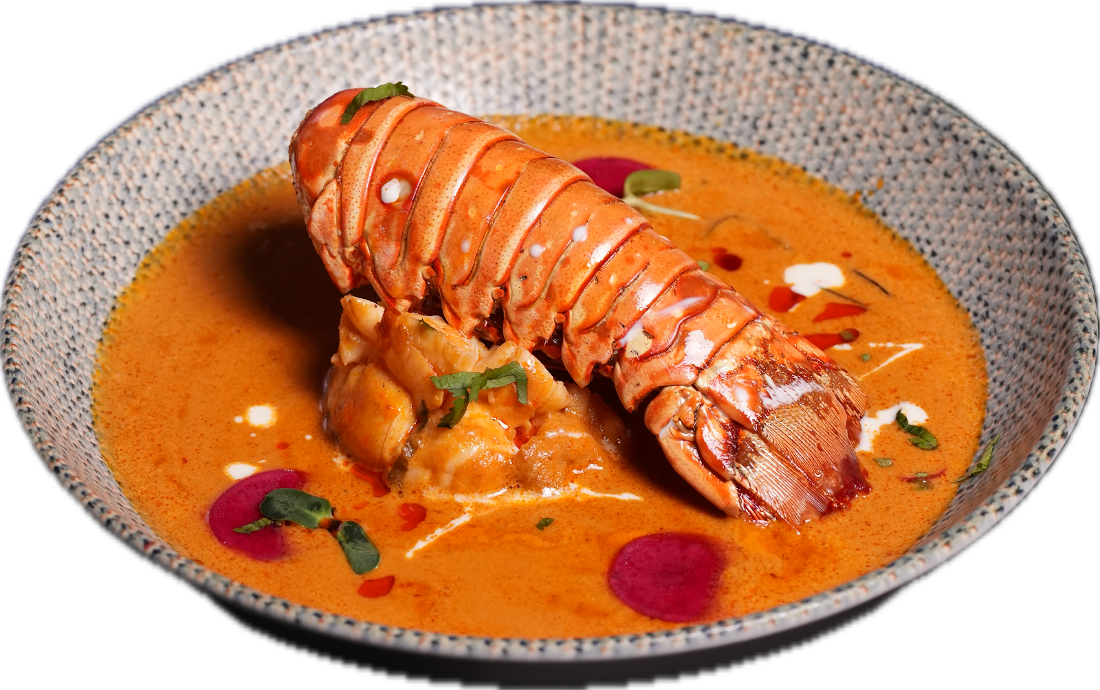 ROOH Officially Opens in Toronto With Focus on Health-Conscious Indian Cuisine