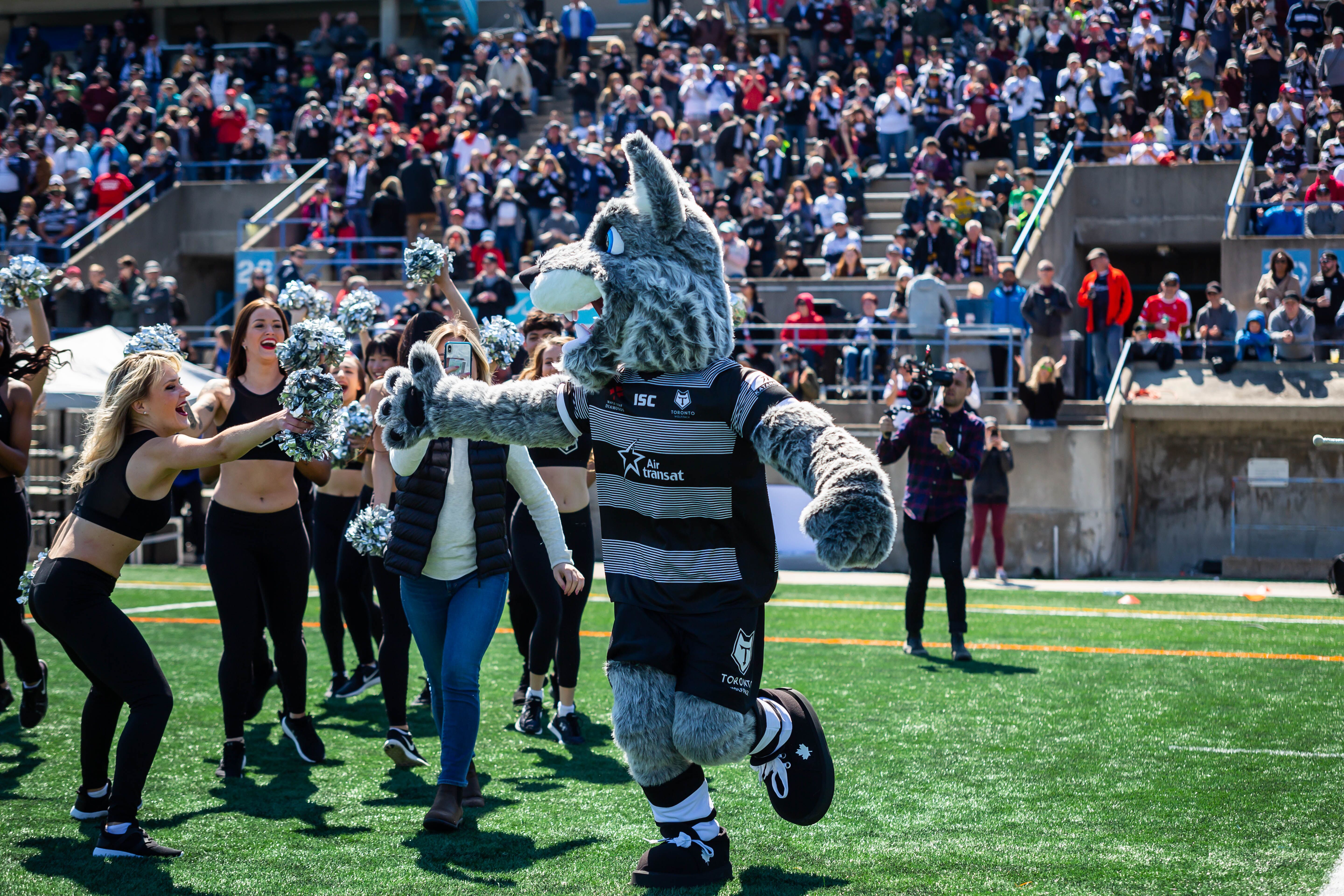 Toronto Wolfpack Mascot Jefferson