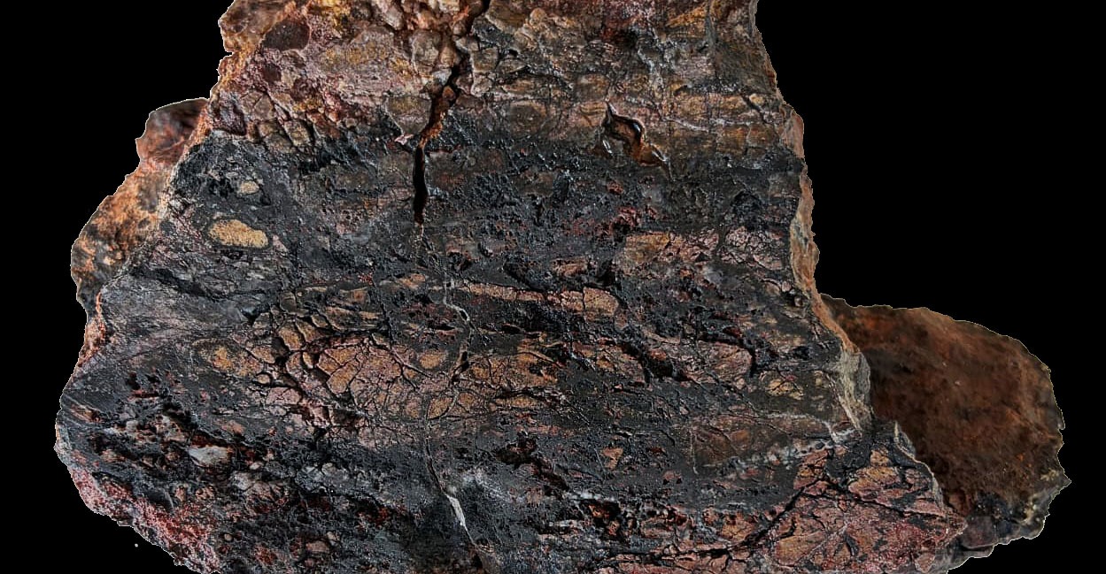 Figure 4