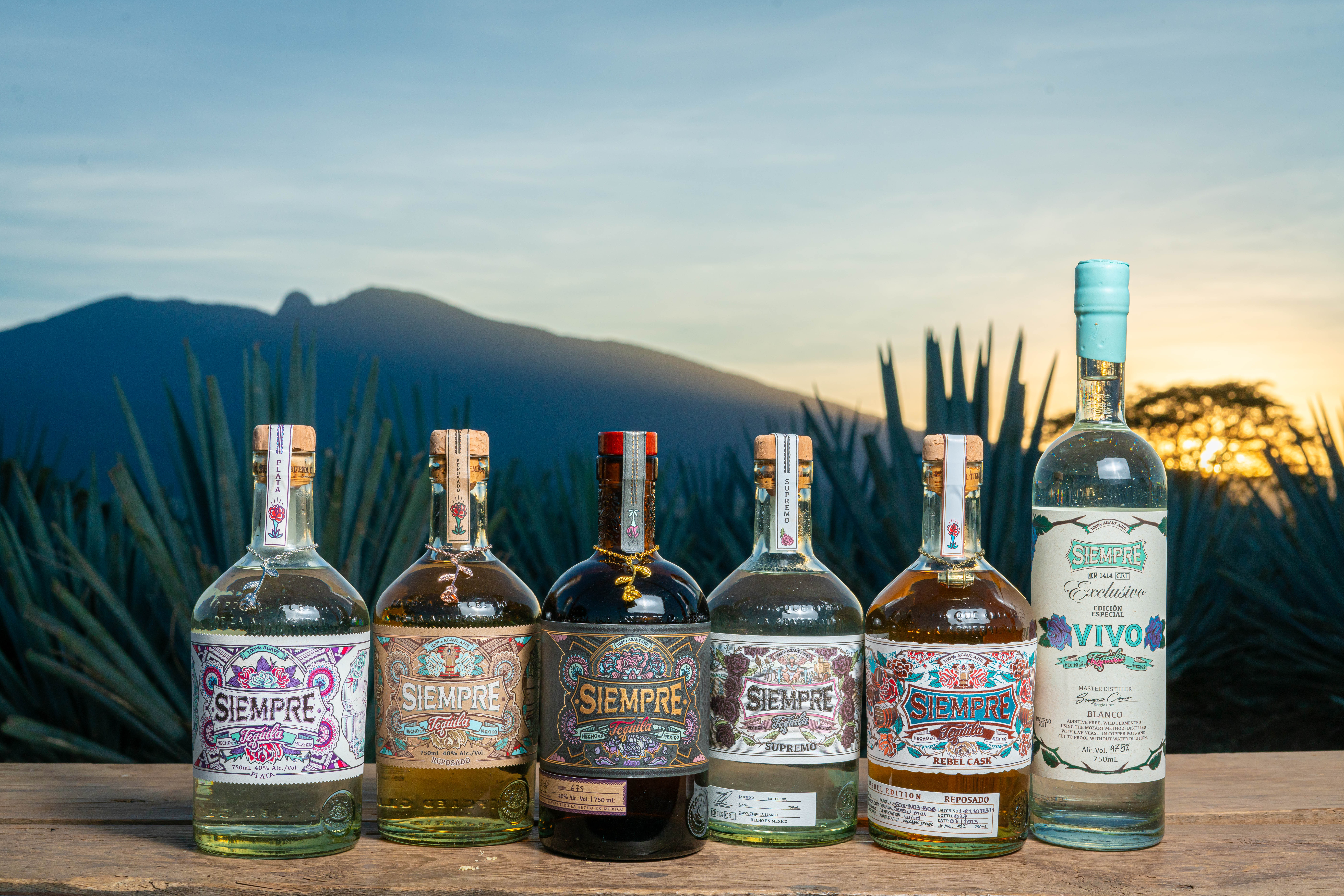Siempre Tequila Full Lineup Agave Field
