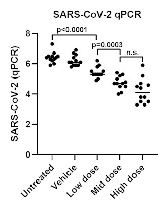 Quantitative polymerase chain reaction (qPCR) results measuring SARS-CoV-2 genetic material in response to treatment with R327 in Syrian golden hamsters.