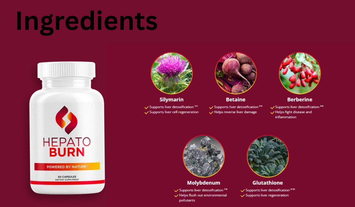 HepatoBurn Ingredients