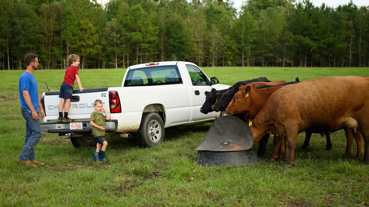 Increased class size means more veterinarians for rural areas