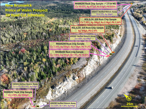 Figure2-Prince of Wales roadside