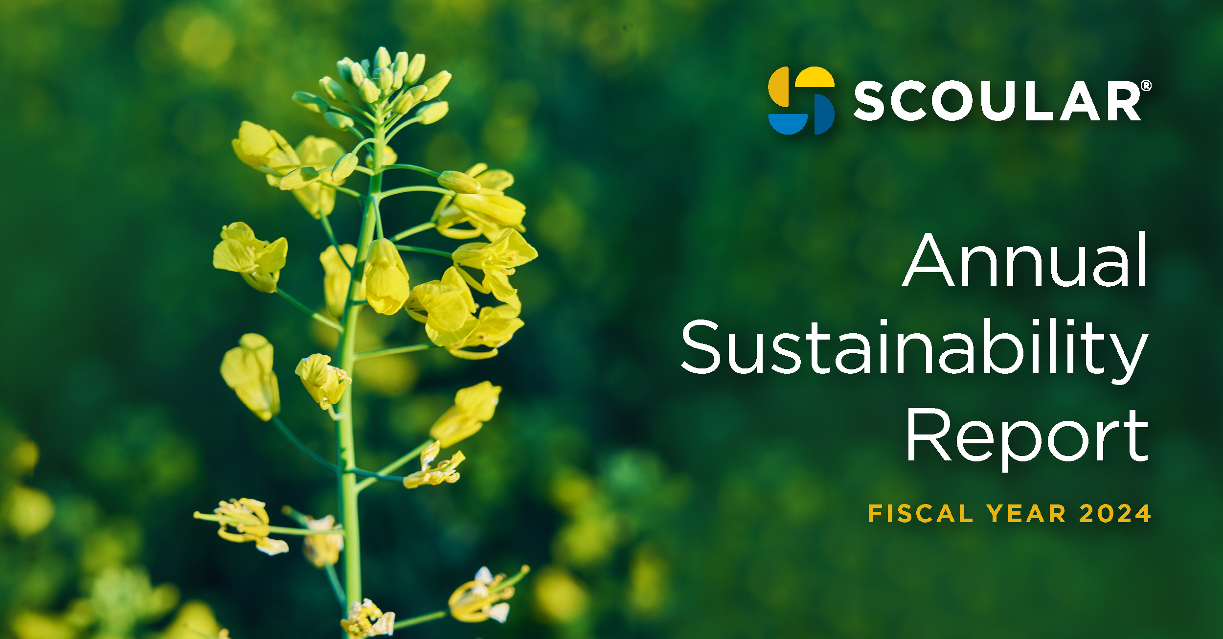 Scoular released its FY24 Sustainability Report today.