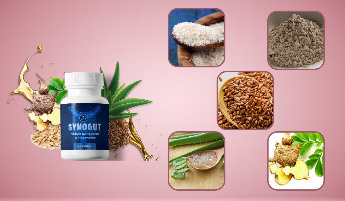 SynoGut Ingredients