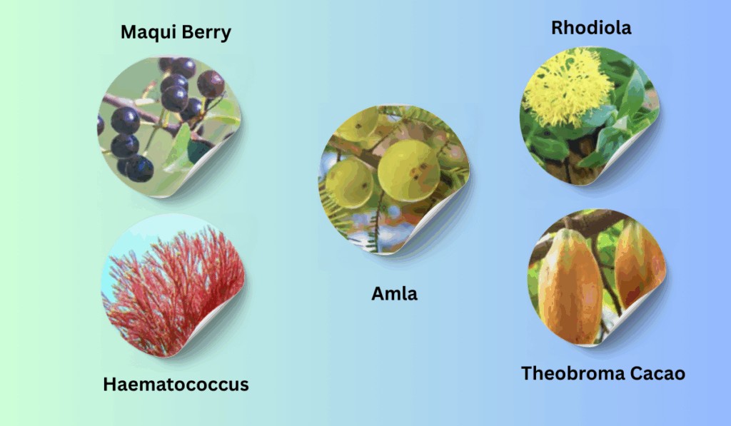 Mitolyn  Ingredients