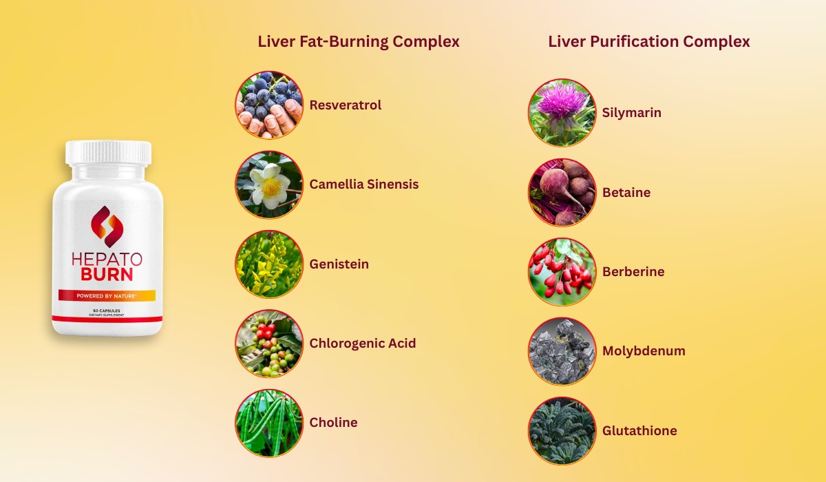 HepatoBurn Ingredients 