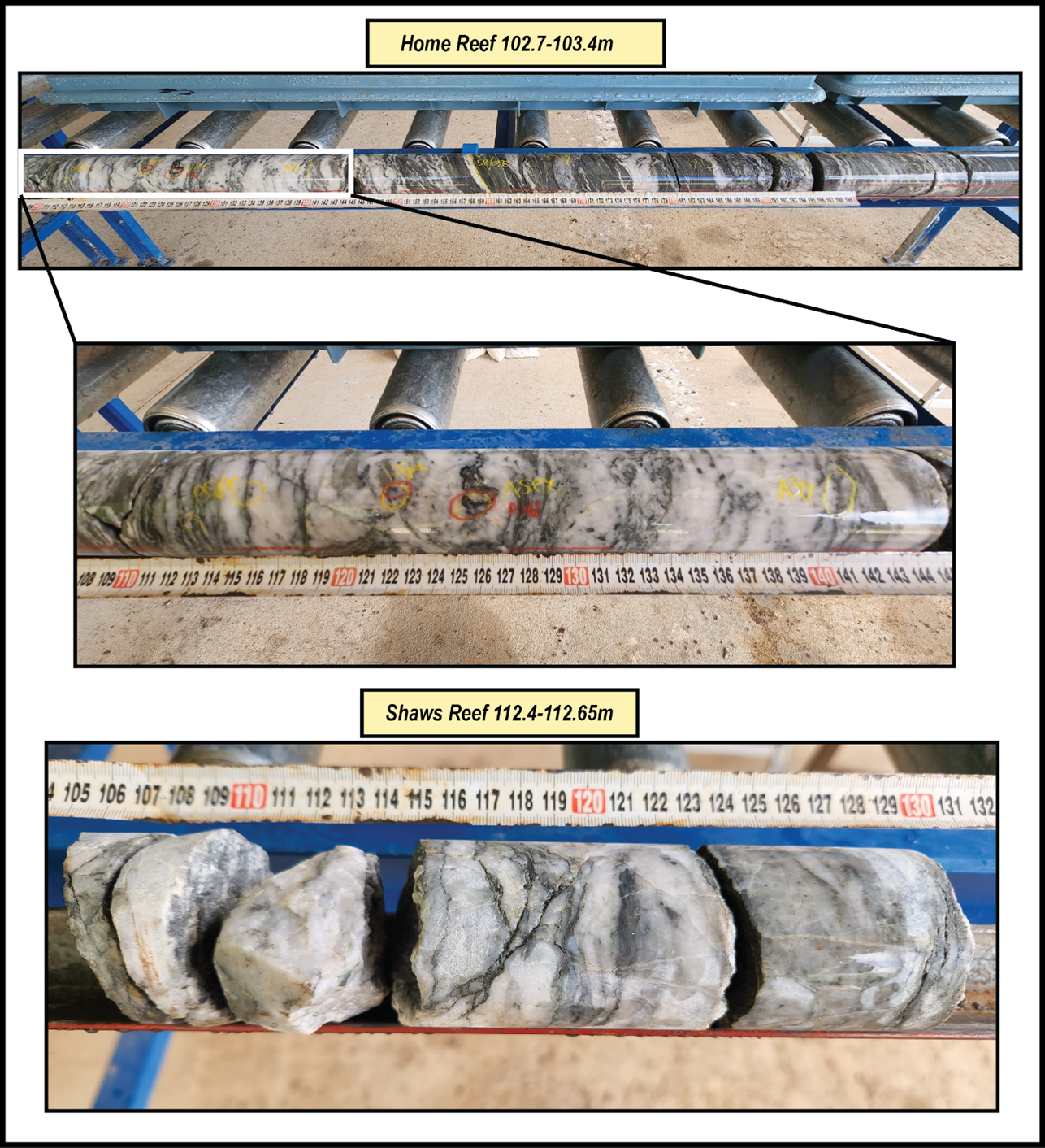 Figure7 HomeandShawReef core