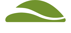 Turtle Creek logo.png