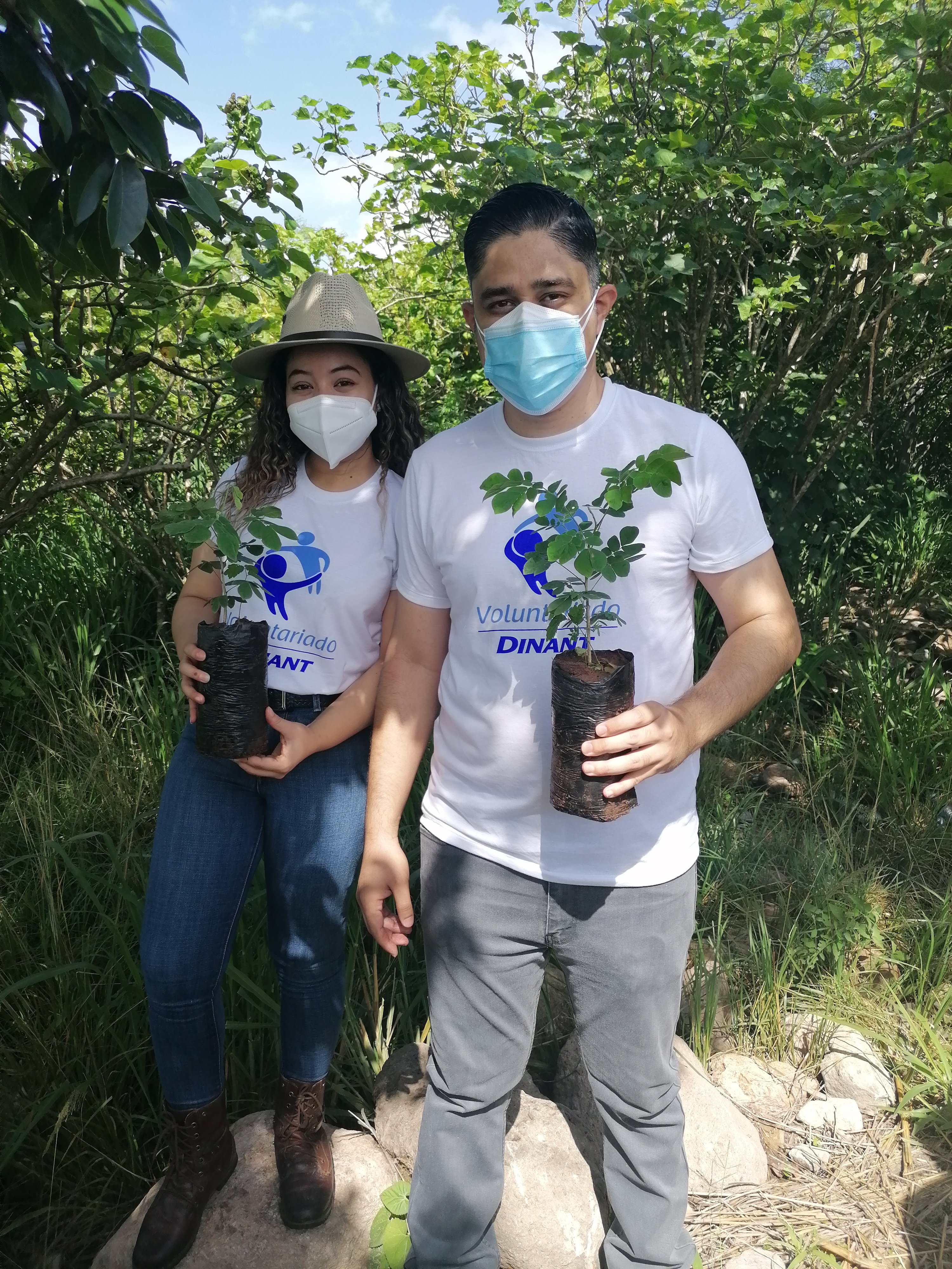 Reforestation in Comayagua