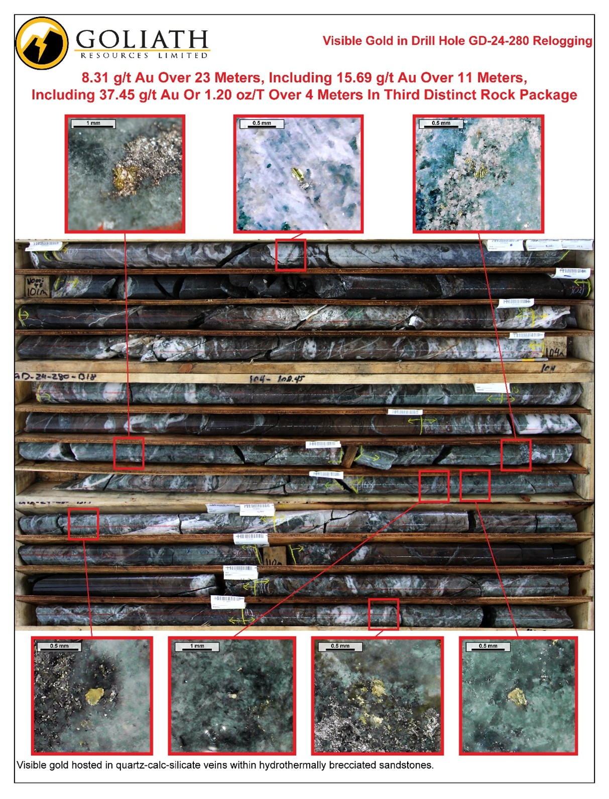 Infographic 1