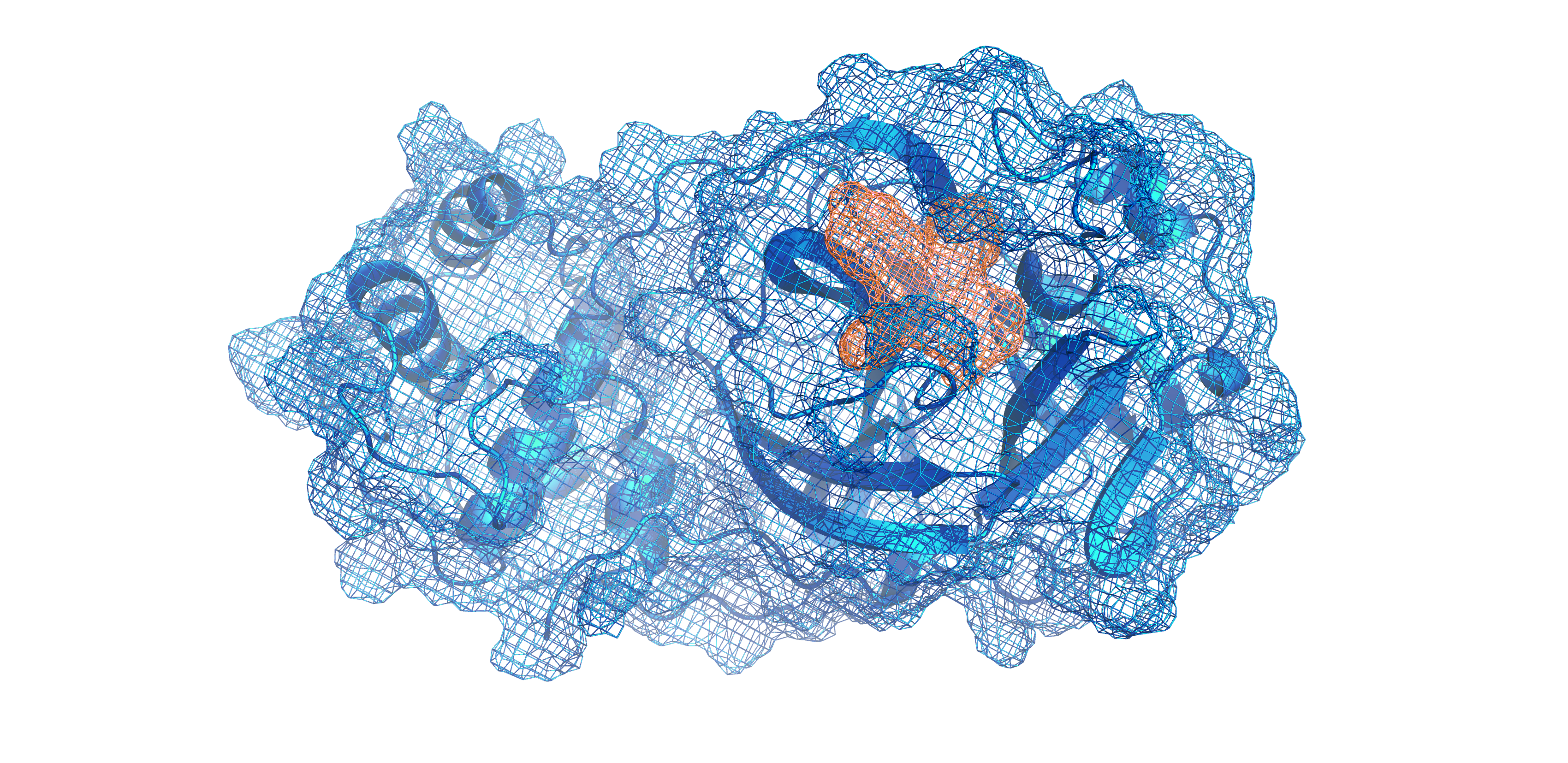 Pardes Biosciences Main Protease