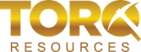 TORQ Logo.jpg