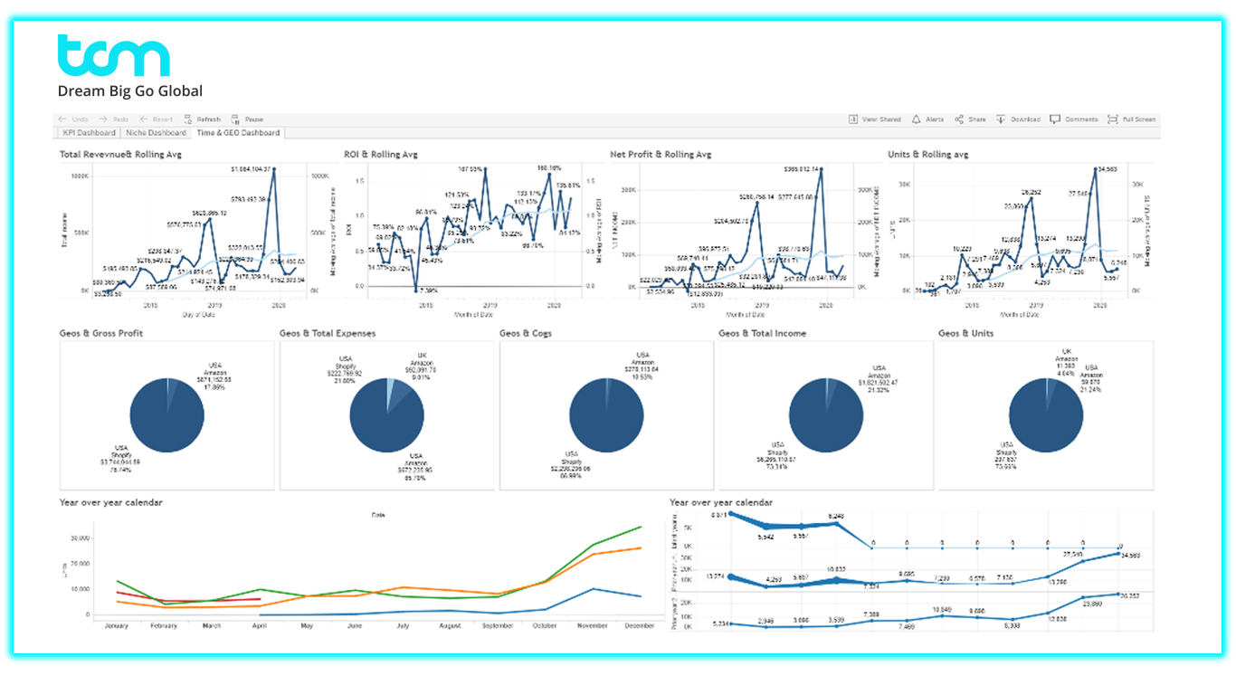 TCM Store Valuation Dashboard