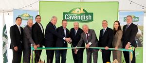 Les Fermes Cavendish ouvrent une nouvelle usine de transformation de la pomme de terre de 430 M $ à Lethbridge, en Alberta