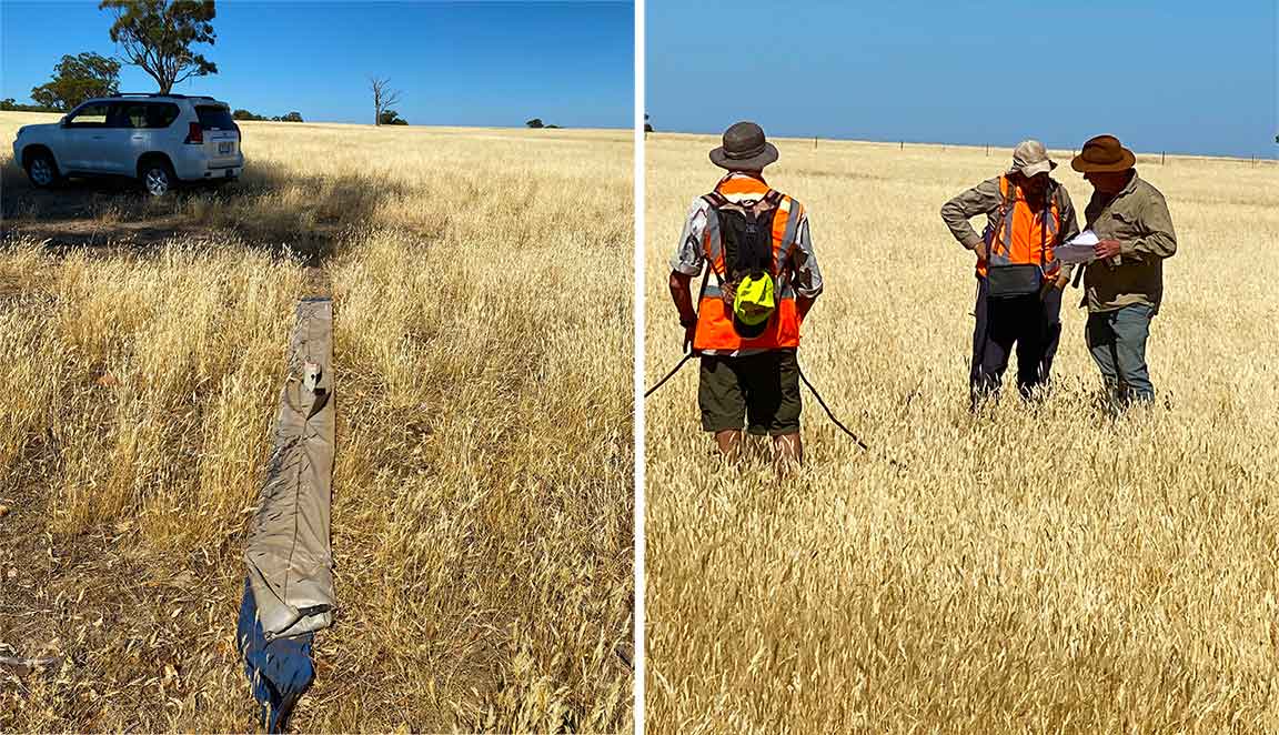 Fig.1-AIS-Resources-Fosterville-Toolleen-Property-DGPR-Geophysics