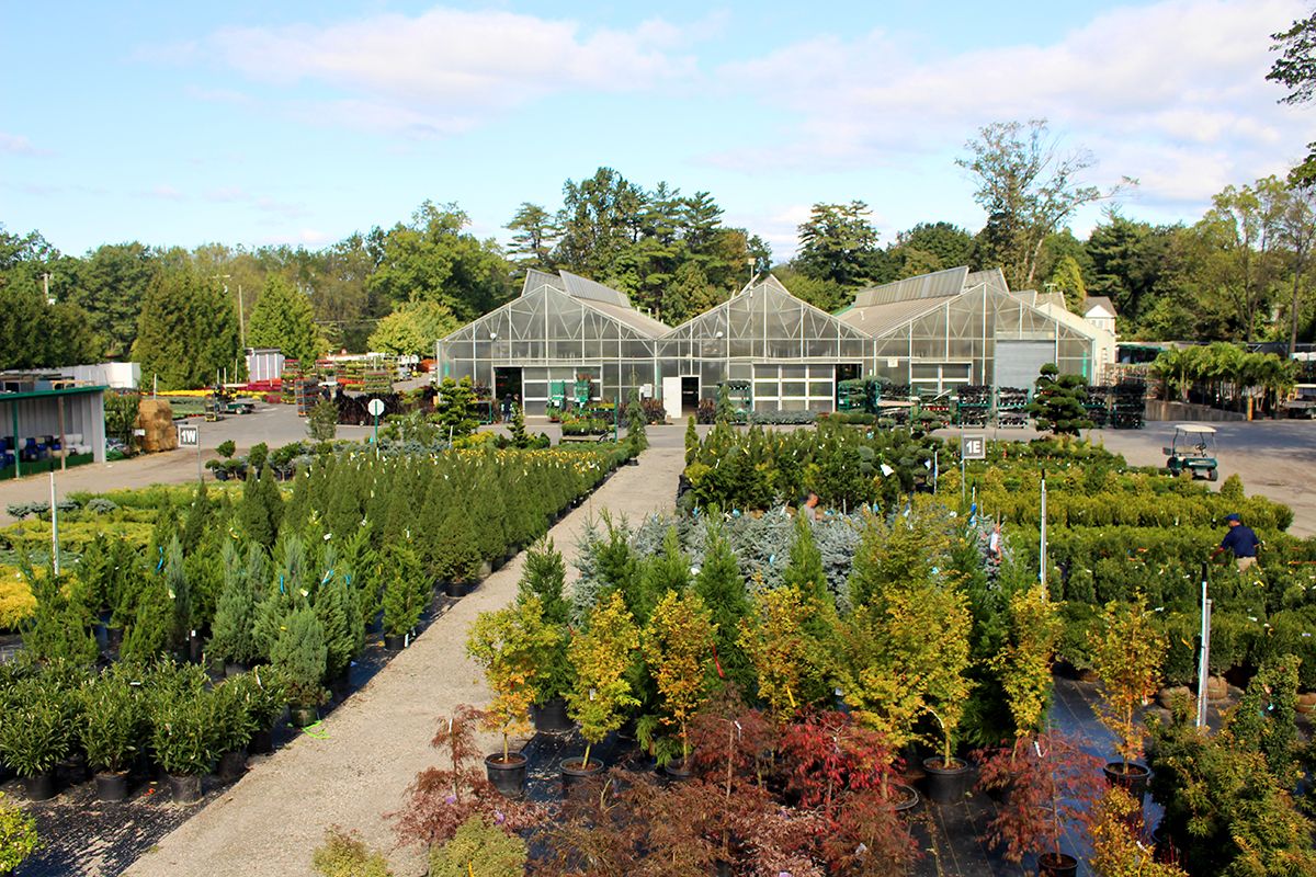 Hicks Commerical Sales Nursery Yard and Greenhouse