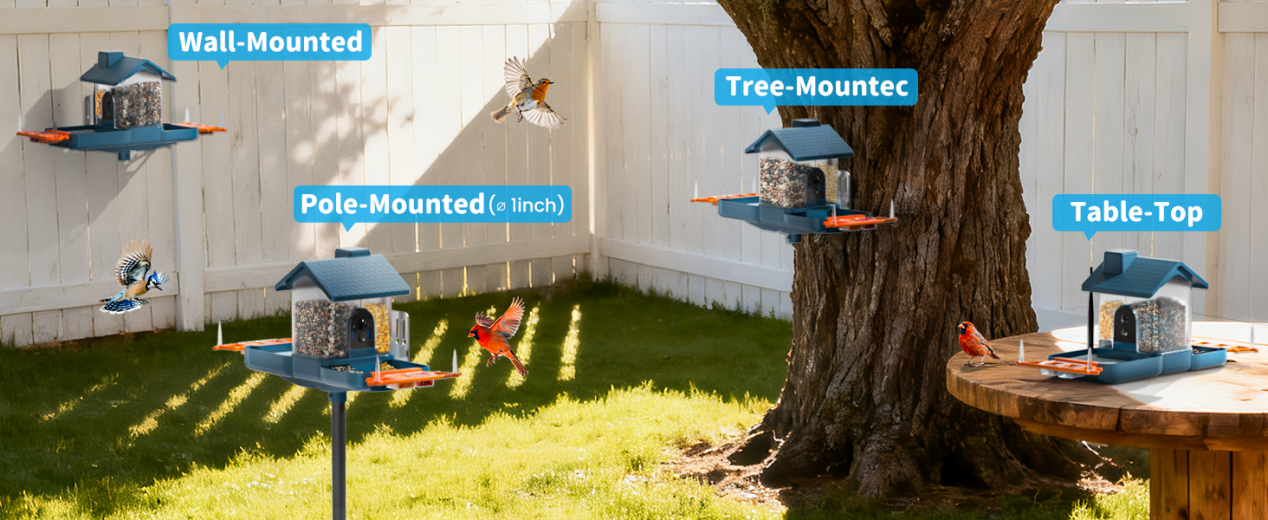 Dual-Lens Bird Feeder Camera