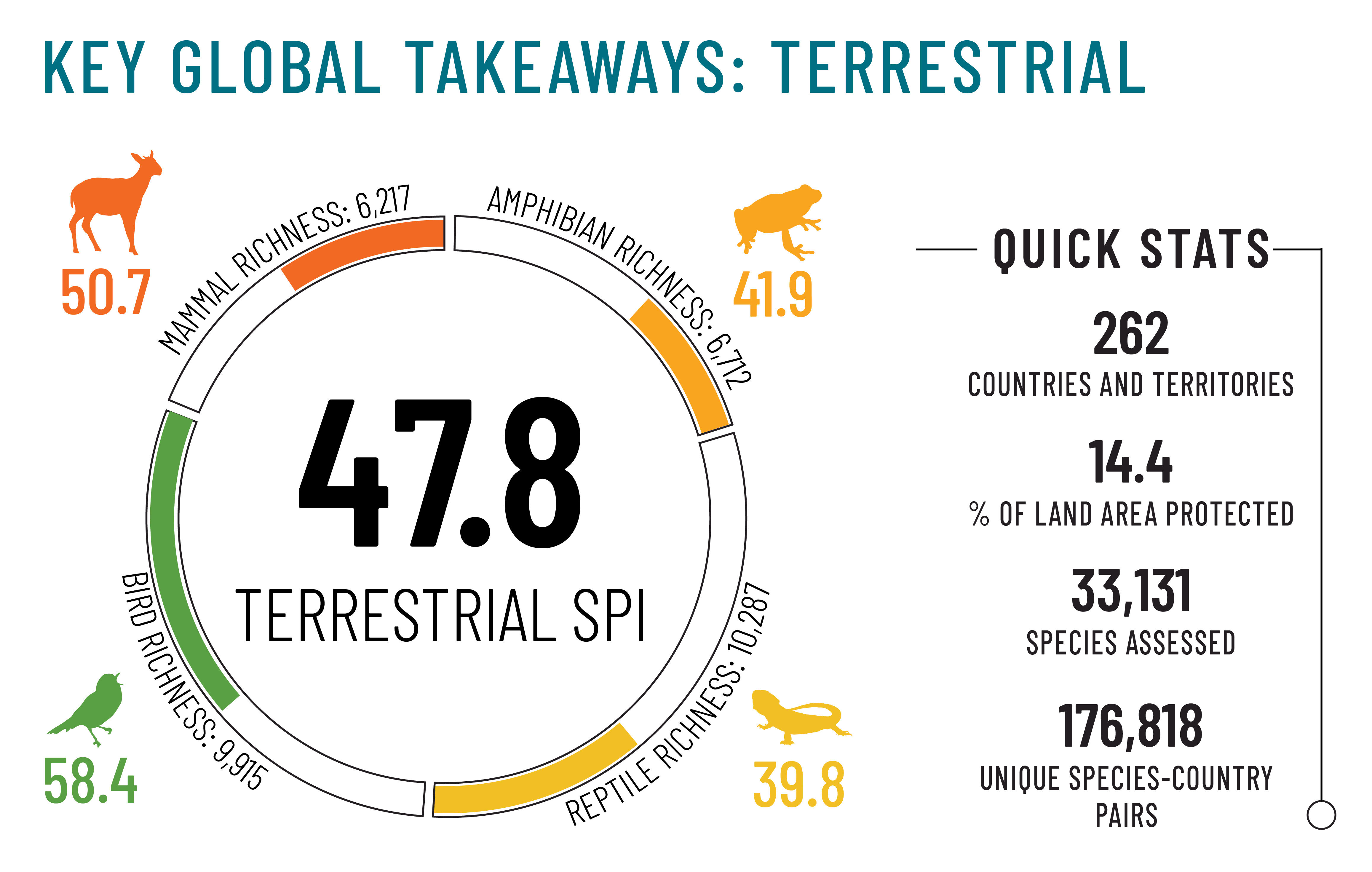 global_terrestrial_graph