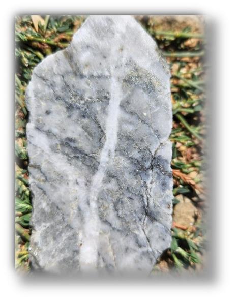 Figure 4 New reef (right) stringer style arsenopyrite mineralization in quartz.