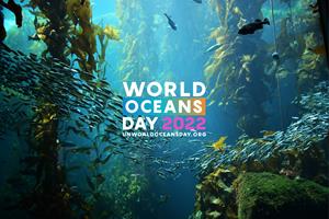 United Nations World Oceans Day 2020 Theme Revitalization: Collective Action for the Ocean