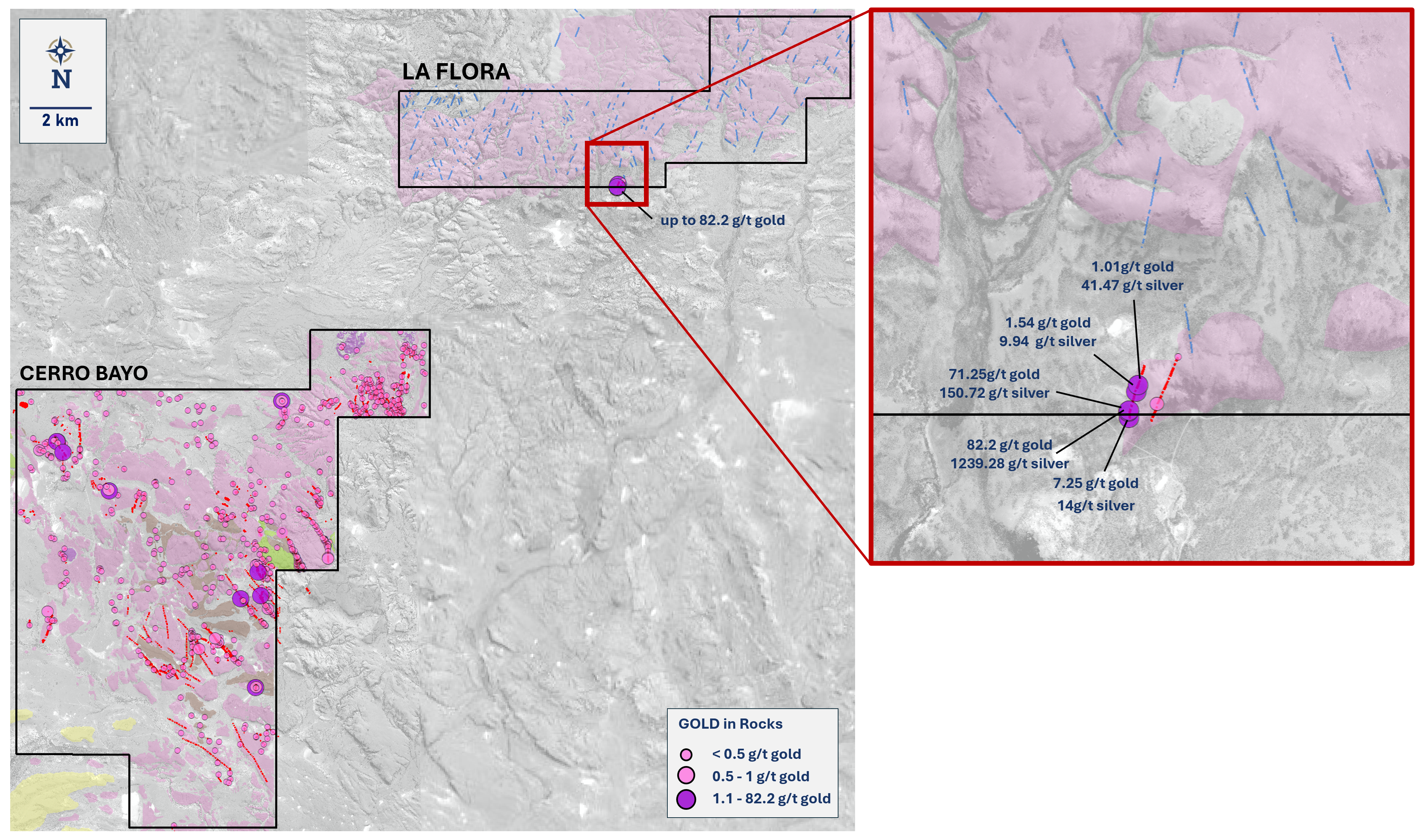 Figure 1 image