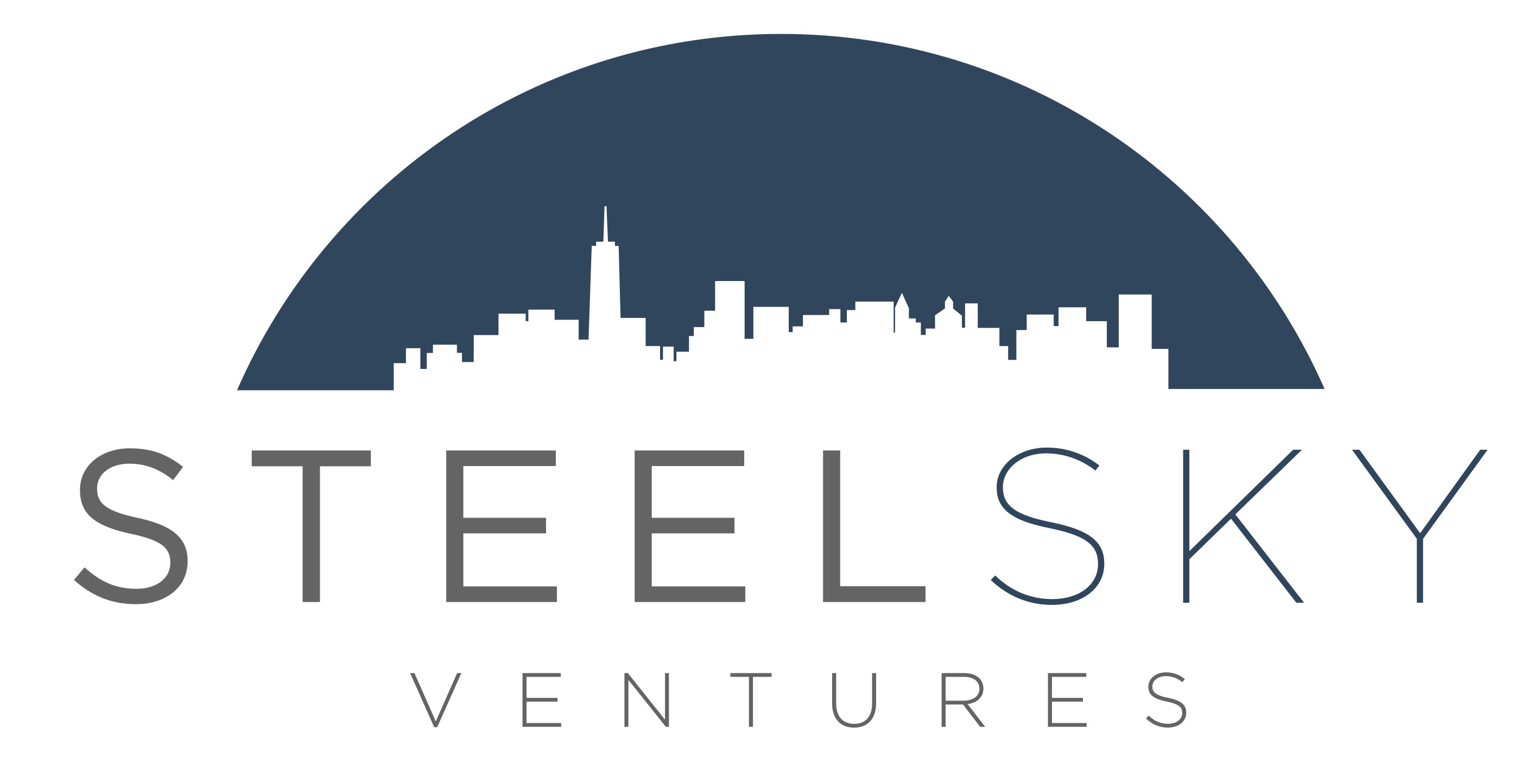 SteelSky Ventures Logo