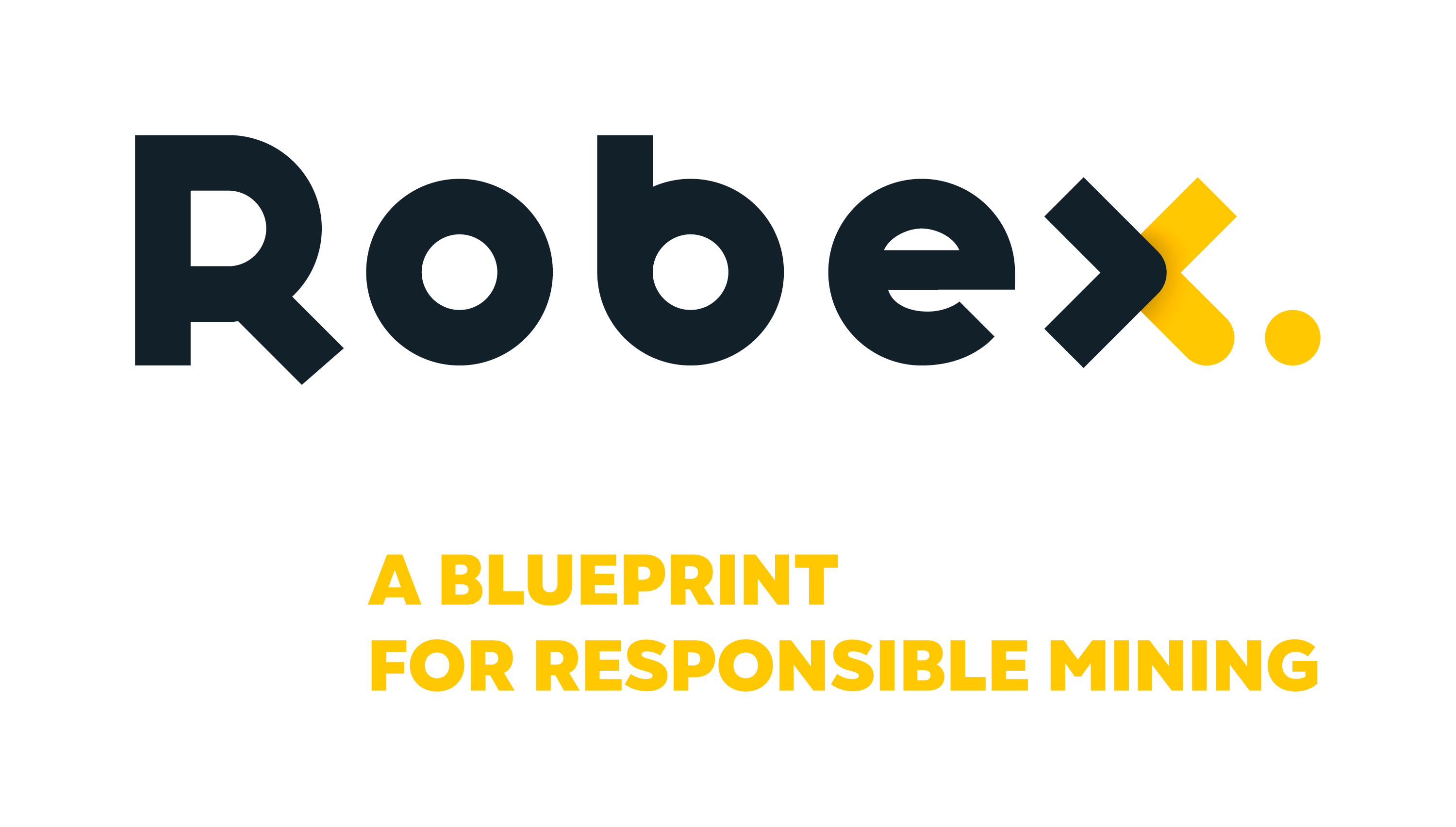 Robex-Identite_Visuelle.png