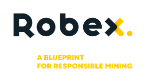 Robex-Identite_Visuelle.png