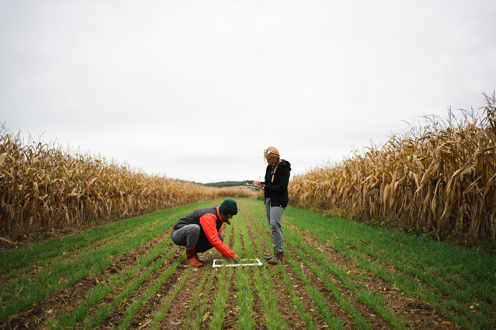 Rodale Institute's Farming Systems Trial Research Technicians