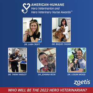 Vote for the 2022 American Hero Veterinarian!