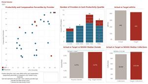 HSG's Effective Practice Management Dashboards for Hospitals and Healthcare Systems