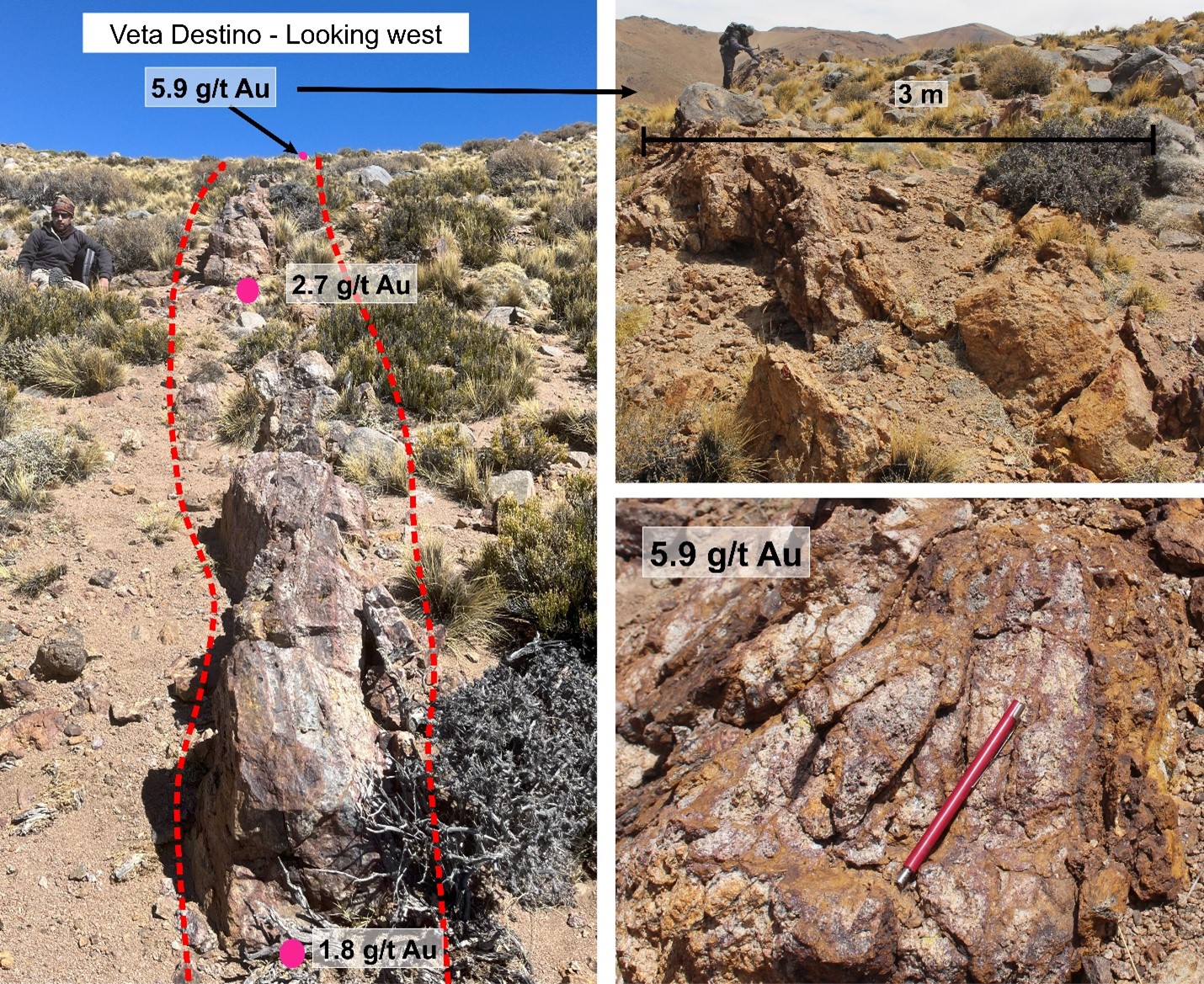 Photos of an epithermal vein at Destino. Mineralization is hosted in epithermal quart veins (locally banded) and within intensely brecciated and sericite-altered granodiorite and diorite that hosted abundant hematite-goethite-jarosite veinlets.