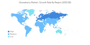 Gooseberry Market Gooseberry Market Growth Rate By Region 2023 28