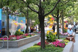 The Magnificent Mile Beautification Awards Second Place