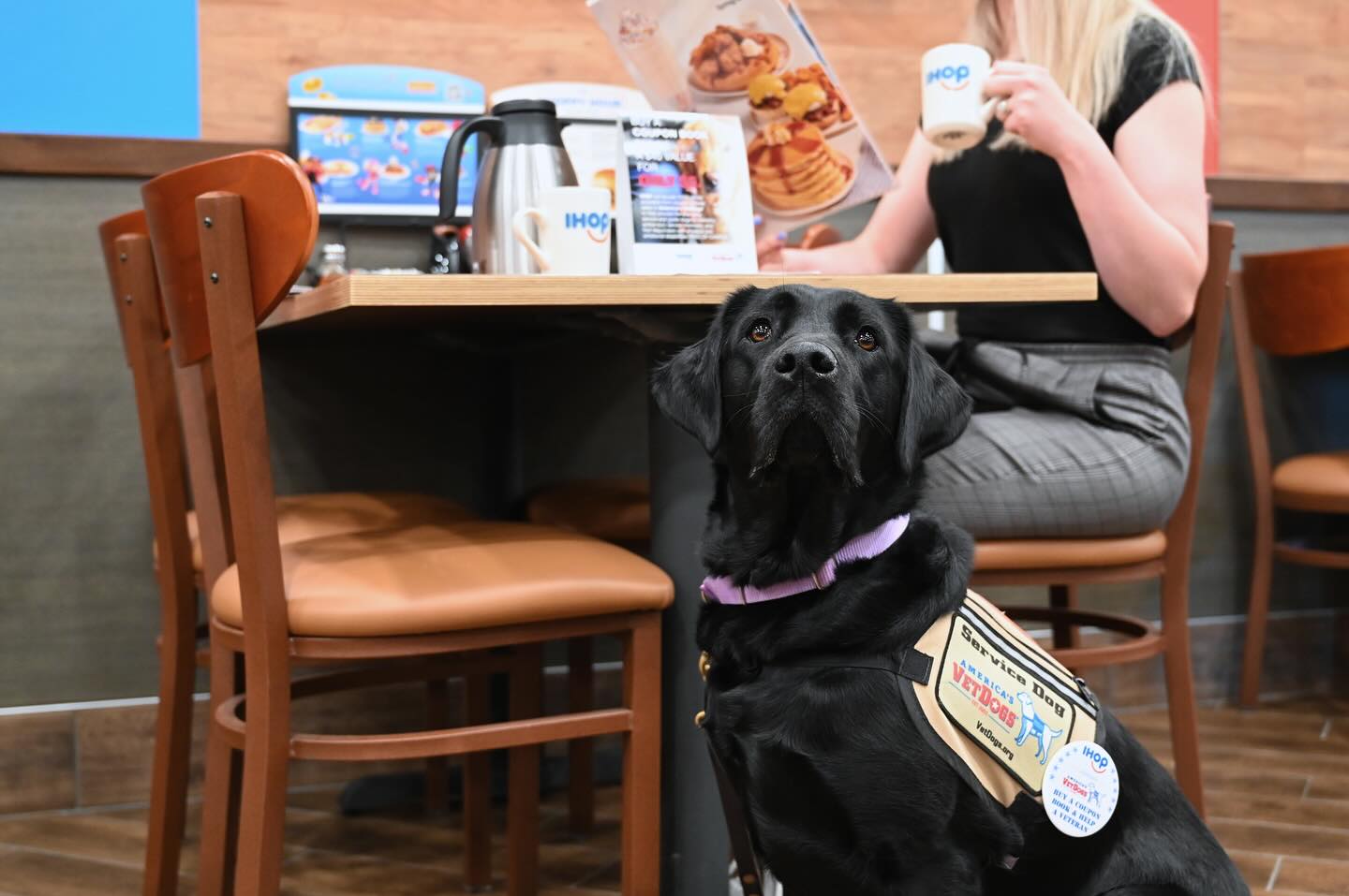 Long Island IHOP Restaurants Support America’s VetDogs in Celebration of Military Appreciation Month