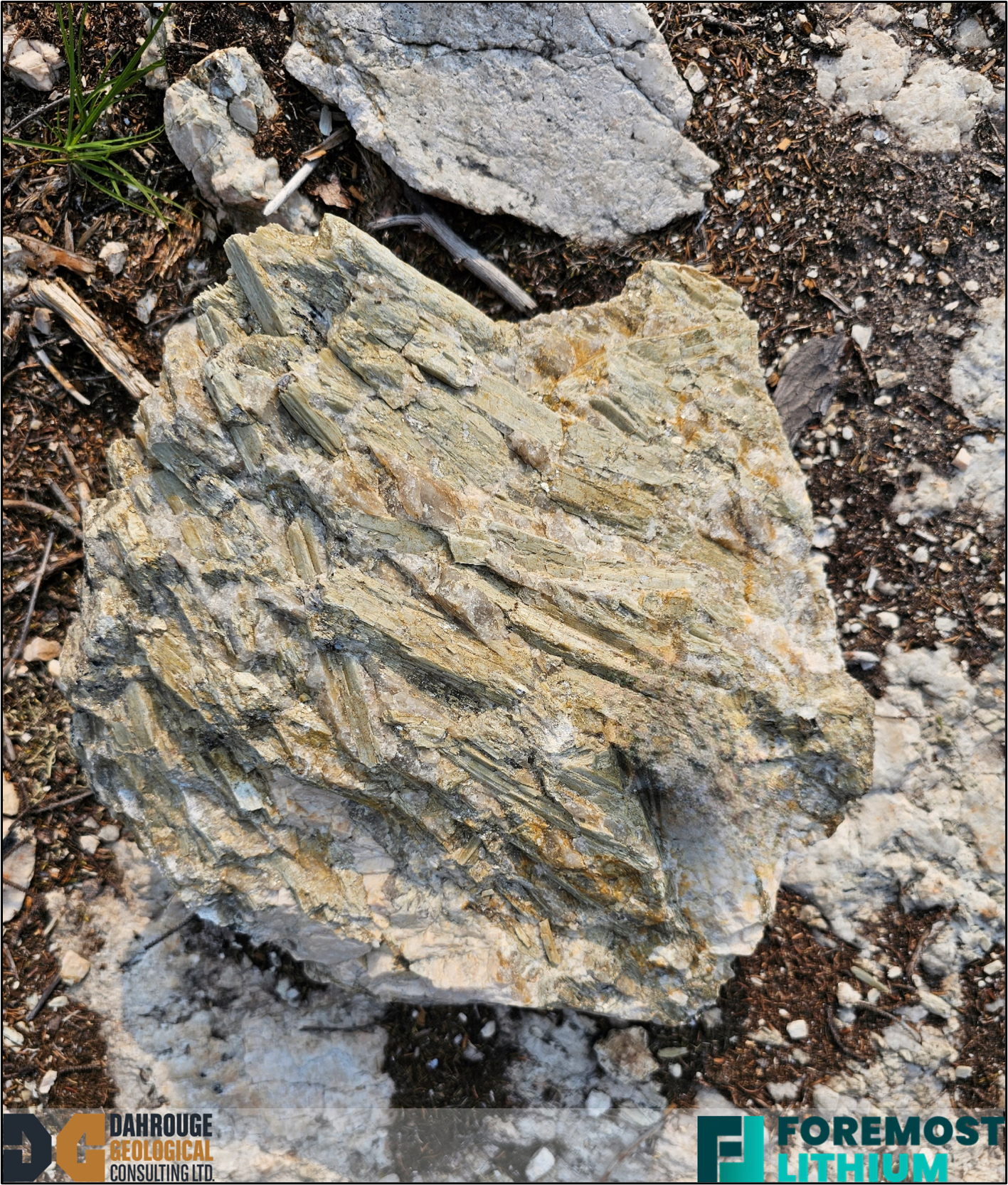 Spodumene-rich boulder excavated during historical blasting at the B2 pegmatite.
