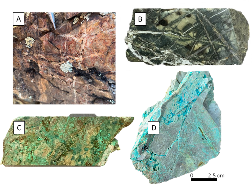 Quartz vein stockworks at Smart Creek in outcrop (3A) and drill core (3B).  Copper oxides/carbonates in fractures cutting the Helena Formation metasedimentary rocks.  Drill core (3C) and outcrop/hand specimen (3D).