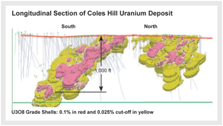 Long Section of the Coles Hill Uranium Deposit 3
