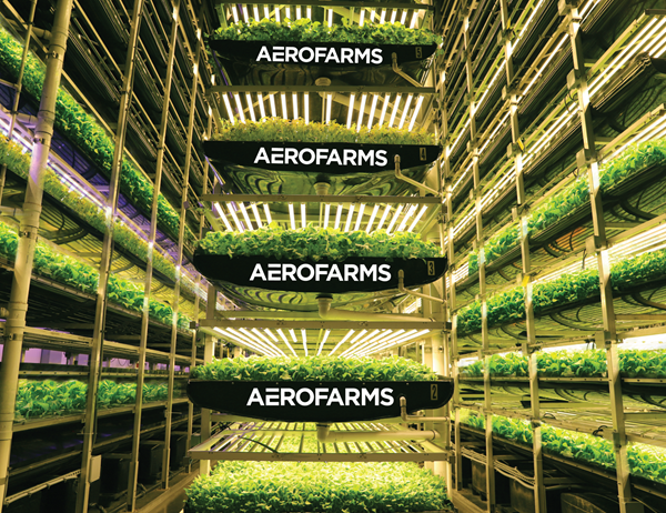 AeroFarms Indoor Vertical Farm in Newark, New Jersey