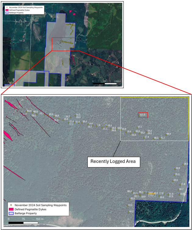 November 2024 Soil Sampling Campaign: 1 soil anomaly above 200 ppm Li was detected from a sample taken in this recently logged area.