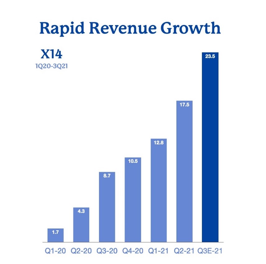 Rapid Revenue Growth